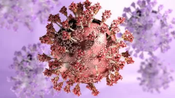 Covid: First data points to Omicron re-infection risk