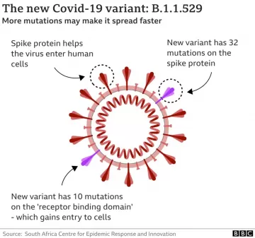 Covid: Two cases of new variant Omicron detected in UK